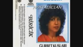 Biricik - Nereden Bileceksin 1982 Biricik - Nereden Bileceksin 1982