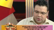 Karaciğer Yağlanmasında Bitkisel Tedavi Yöntemleri