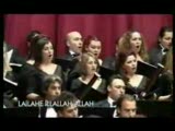 Sordum Sarı Çiçeğe