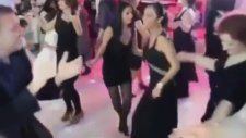 Hap Koydum, Ex Koydum İçine De Roj Koydum