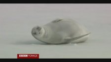 Dünyanın En Soğuk Yeri -93,2 Derece