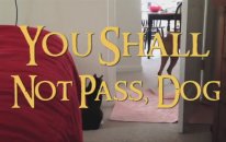 You Shall Not Pass, Dog