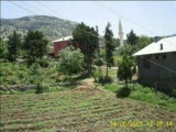 Pozantı Hamidiye Köyü