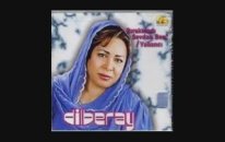 Dilber Ay - Ah Neyleyim Gönül Senin Elinden