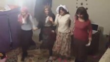 Entarisi Dım Dım Yar - Penguen Dansı Versiyon