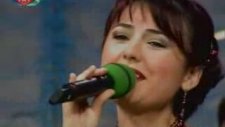 Neşe Dursun - Al Goncayı Deremedim