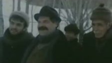 Zülfü Livaneli - Sevda Değil