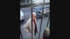 Arnavut Şevket ile Ayaküstü Çipetpet