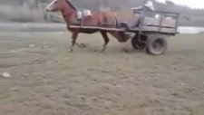 At Arabasıyla Drift