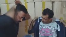 Ato İle Zeko - Evrim teorisi
