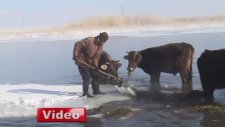 Van'da baltayla buz kırıp hayvanlarını besliyorlar