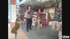 Entarisi Dım Dım Yar - Market Edition