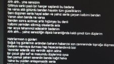 Sedat Kesim - Sensizliği Yazdım Mısralarımda