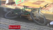 Kuduz Köpek Böyle Yakalandı
