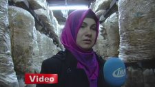 Mantar Üretmeyi Hayal Ederken Tesis Sahibi Oldu
