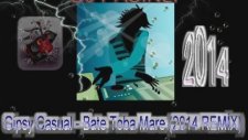 Dj Pasinli Vs Gipsy Casual - Bate Toba Mare (2014 Remix)