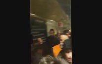 Metroda