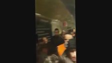 Metroda