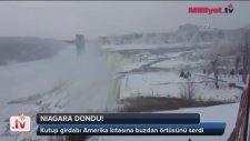 Niagara Şelalesi Dondu!