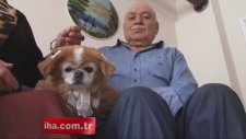 Ölmesi Gerekirken Uzun Yaşayan Köpek