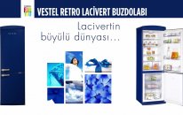 Vestel For You Renkli Buzdolapları