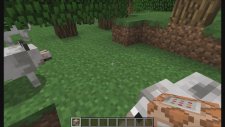 Minecraft Bir Yerden Bir Yere Işınalanma