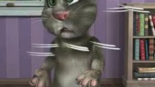 Talking Tom