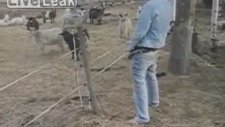 Elektrikli Tele İşeyerek Çarpılmak!