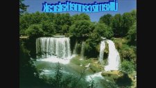 Ağaç (Ağaç Bayramı Orman Haftası)