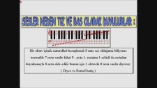 Ders: Akordion İçin Temel Müzik Porte Ve Nota Değerlikleri Solfeji