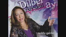 Dilber Ay - Noldu Gardaş