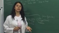 1299 Osmanlı Kültür ve Medeniyeti 1