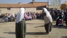 Teyzeler Kurtlarını Döküyorlar!