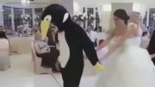 Düğünde Penguen Halayı