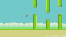 Chuck Norris & Flappy Bird