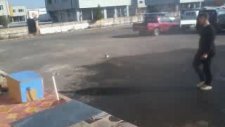 Taklacı Güvercinler