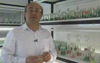 Sevgililer Günü'ne Özel Solmayan Gül