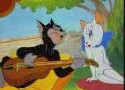 Aşık Kedi