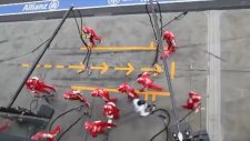Ferrari - F1 Pit Stop Süresi
