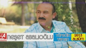 Neşet Abalıoğlu - Ankarada Kaldım Neşet Abalıoğlu - Ankarada Kaldım