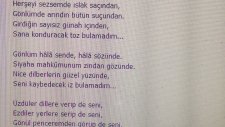 Sedat Kesim - Bulamadım