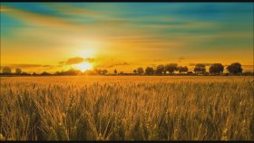 Yanni - Spirit Of Nature Yanni - Spirit Of Nature