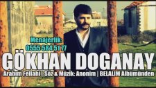Gökhan Doğanay - Arabım Fellahi 2014 (Yeni Albüm)