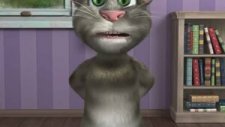 Kedi - Hayatın Kendisi Bu Herşey Varmış İçinde