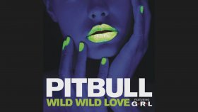 Pitbull - Wild Wild Love Pitbull - Wild Wild Love