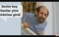 Sevim Koş