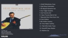 Neşet Ertaş - Ayva Turunç Narım Var