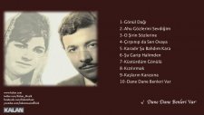 Neşet Ertaş - Dane Dane Benleri Var