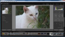 Adobe Photoshop Lightroom Develop Modülü 1