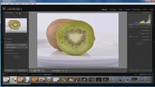 Adobe Photoshop Lightroom Library Paneli